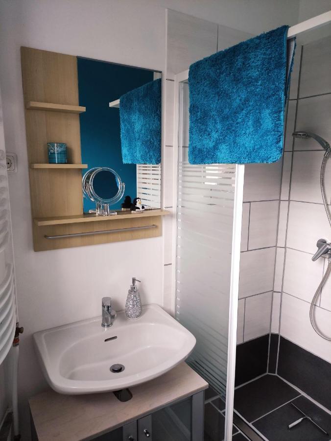 Ferienwohnung-Im-Karolinenkoog-Erholung-Zwischen-Feld-Und-Deich Zewnętrze zdjęcie