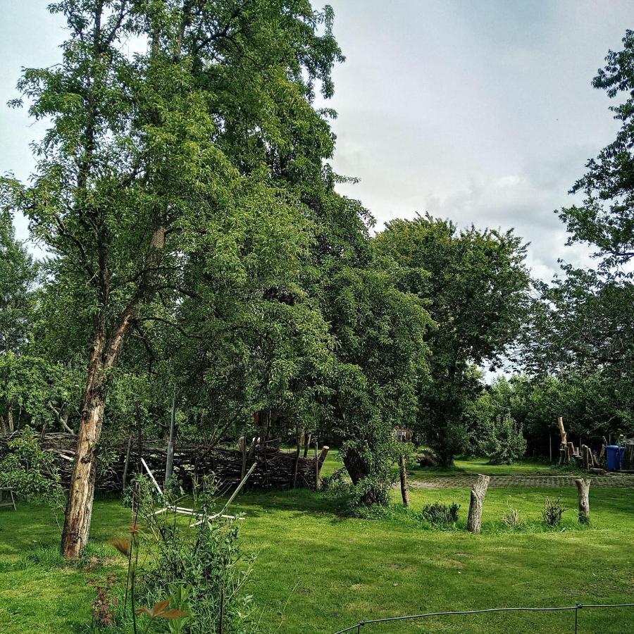 Ferienwohnung-Im-Karolinenkoog-Erholung-Zwischen-Feld-Und-Deich Zewnętrze zdjęcie
