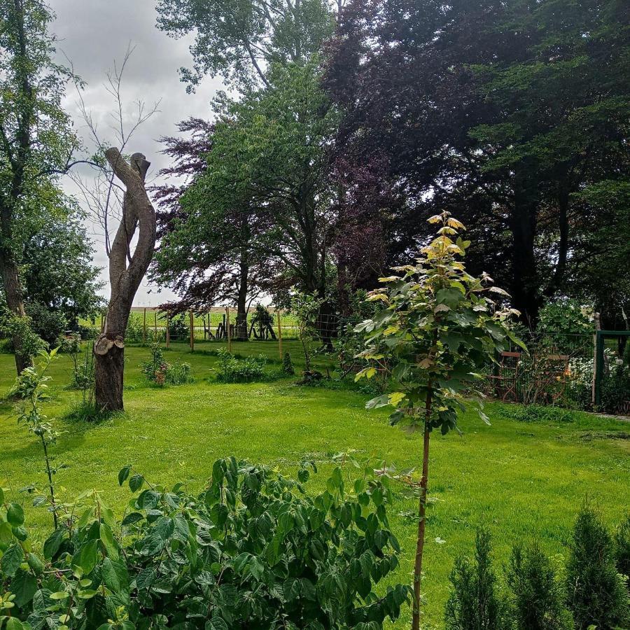 Ferienwohnung-Im-Karolinenkoog-Erholung-Zwischen-Feld-Und-Deich Zewnętrze zdjęcie